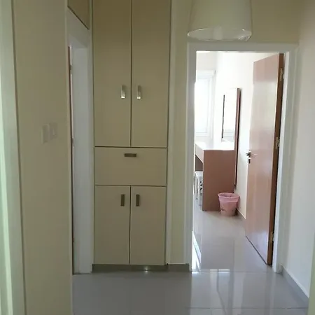 32 Hill Court شقة لارنكا